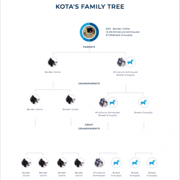 Kota Family Tree