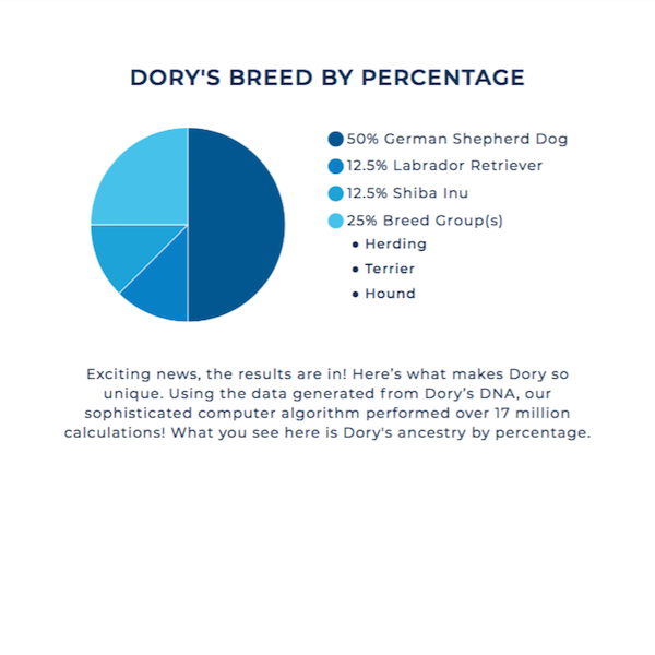 Dory Breed by Percentage