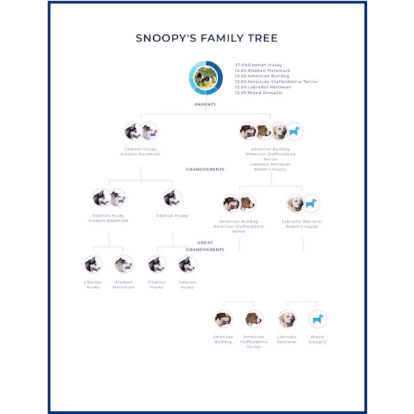Snoopy Wisdom Health Family Tree
